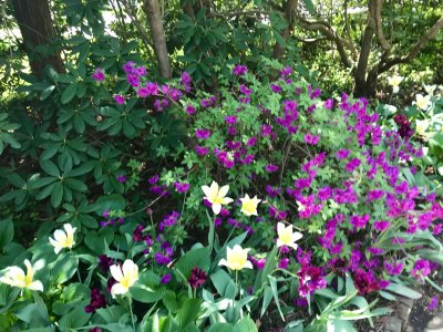 Ladew Topiary Gardens 