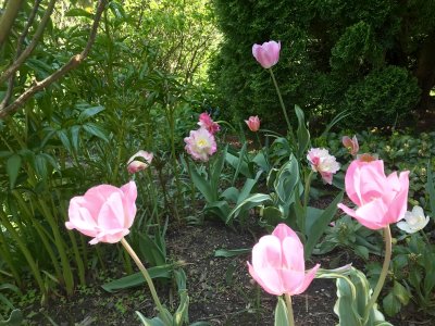 Ladew Topiary Gardens 