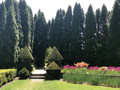 Ladew Topiary Gardens 