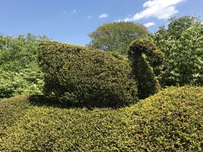 Ladew Topiary Gardens 