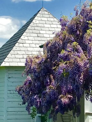 Ladew Topiary Gardens 