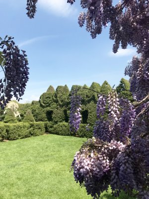 Ladew Topiary Gardens 