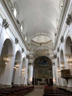 IMG_1231.jpg