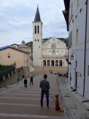 P1050983.jpg