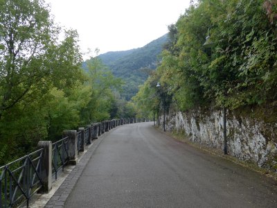 P1060025.jpg