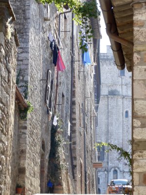 P1060164.jpg