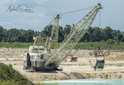 Suwannee American Cement Page 732 (Branford Quarry)