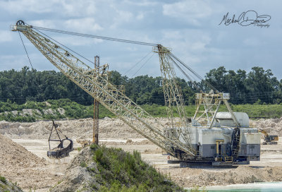 Suwannee American Cement Page 732 (Branford Quarry)
