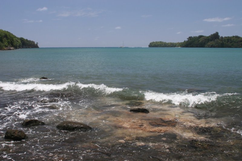 IMG_9586.jpg