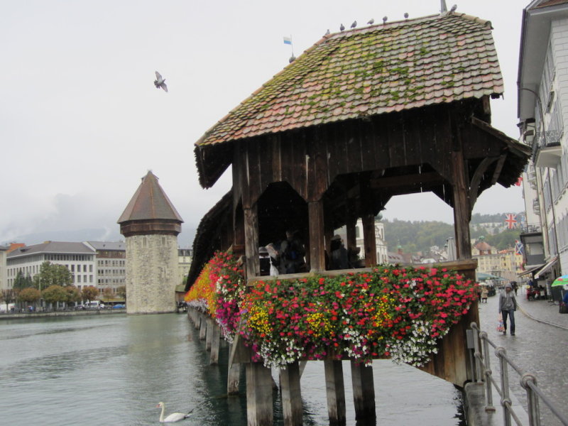 IMG_0861.JPG