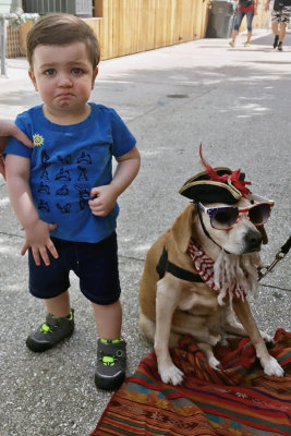 Hmmm....ordinarily he's not upset around dogs....