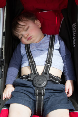 after a few minutes walking in the stroller