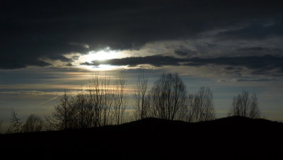 DSC00794.jpg