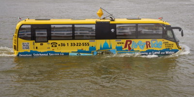 DSC00981.jpg
