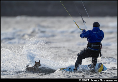 troon_kite_232.jpg