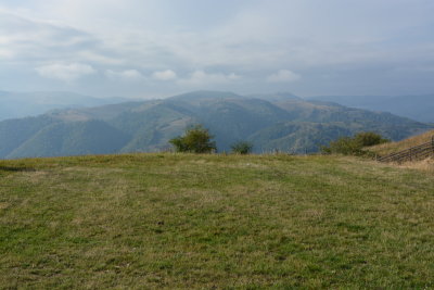 DSC_9496.JPG