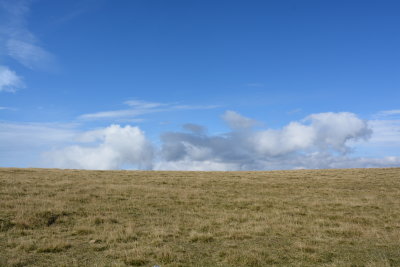 DSC_9574.JPG