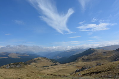 DSC_9584.JPG