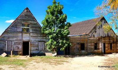 Tobacco Drying House