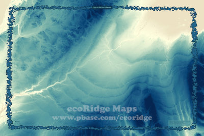 Great Black Swamp, Blue/Gray