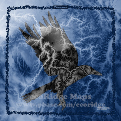 Thunderbird