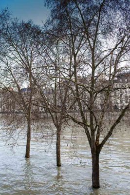 la Seine en crue-017.jpg