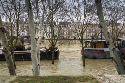 la Seine en crue-026.jpg