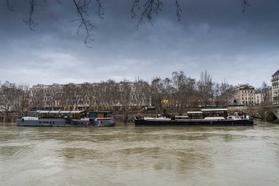 la Seine en crue-029.jpg