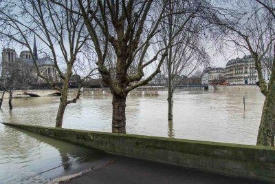 la Seine en crue-039.jpg
