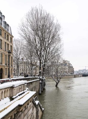 la Seine en crue-049.jpg