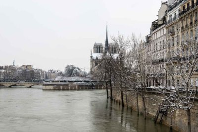 la Seine en crue-061.jpg