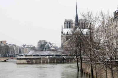la Seine en crue-065.jpg
