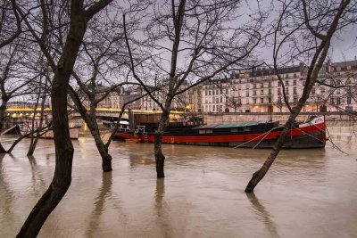 la Seine en crue-077.jpg