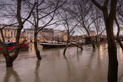 la Seine en crue-079.jpg