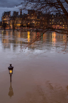la Seine en crue-082.jpg