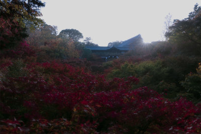 Autumn  - Kyoto & Shiga -