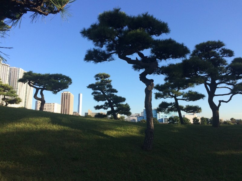Hello, Tokyo