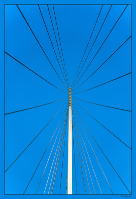 56 La Spezia bridge's cables