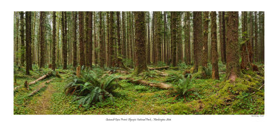 Untitled_Panorama2.jpg