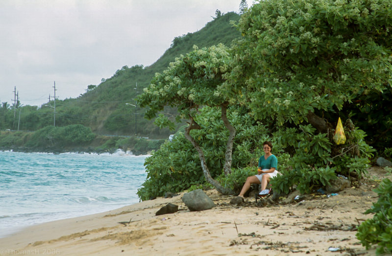 44C-30-Secluded Beach