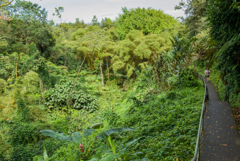 N1354 Path to Akaka Park