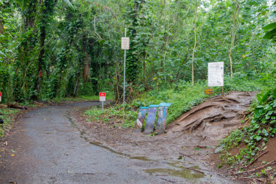 c4174 Trail branches off