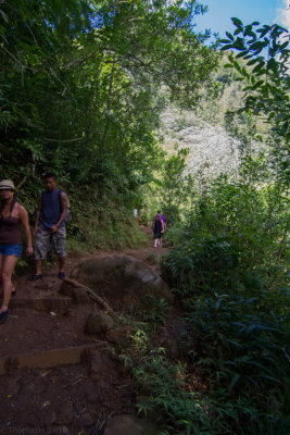 c4780 Manoa Falls Trail