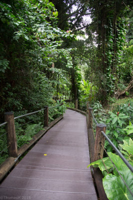 C5772 Boardwalk downhill