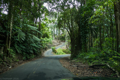 P0587 Scenic road toward the garden