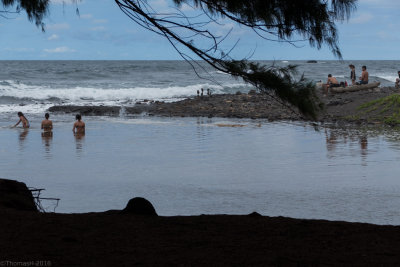 P0490 Ponds ate the Pololu