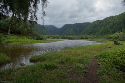 P0499 Path inland along the stream