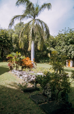 08C-15-Graves of Pryor and his 6 Gibbons