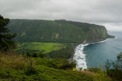 N1440 Waipi'o Valley
