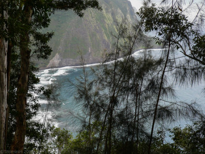 P441 Waipi'o Valley